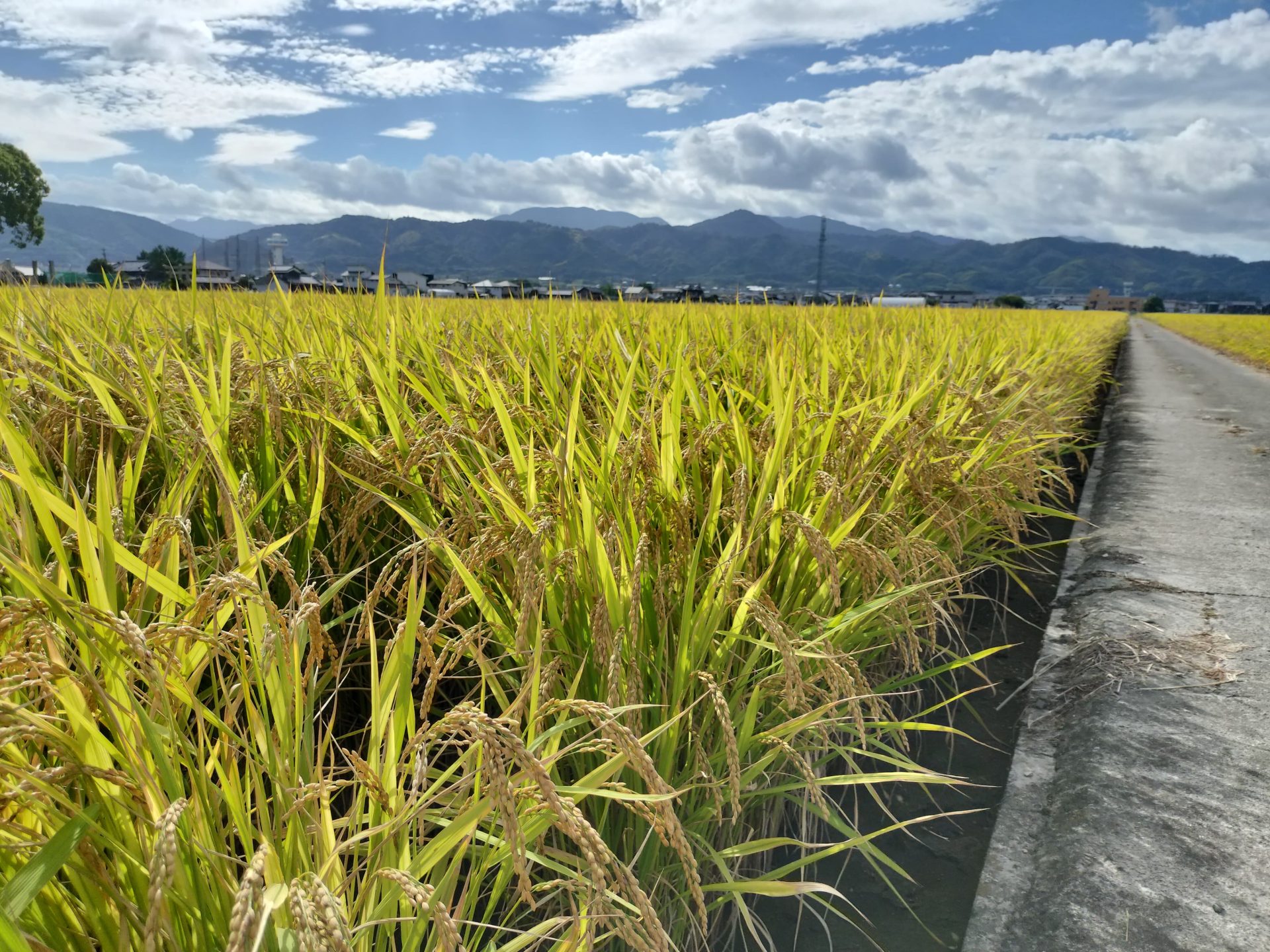 松前町