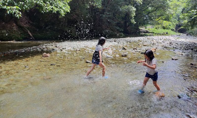愛媛