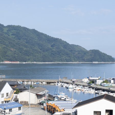 移住のための補助金