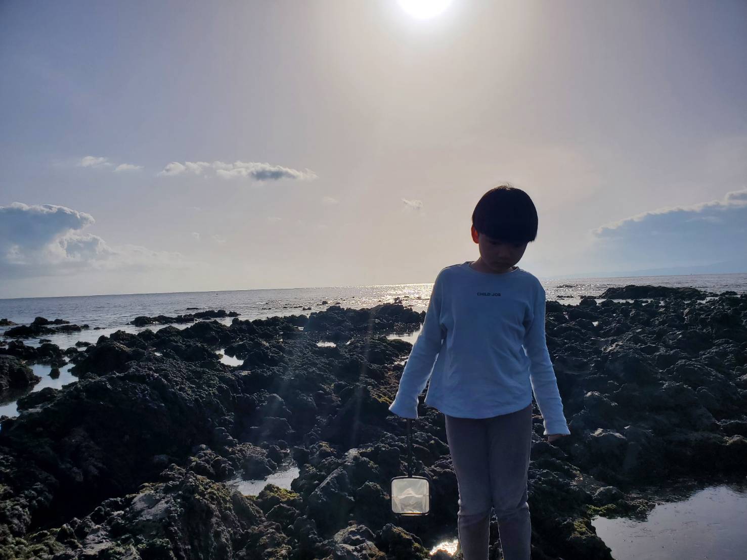 伊豆大島