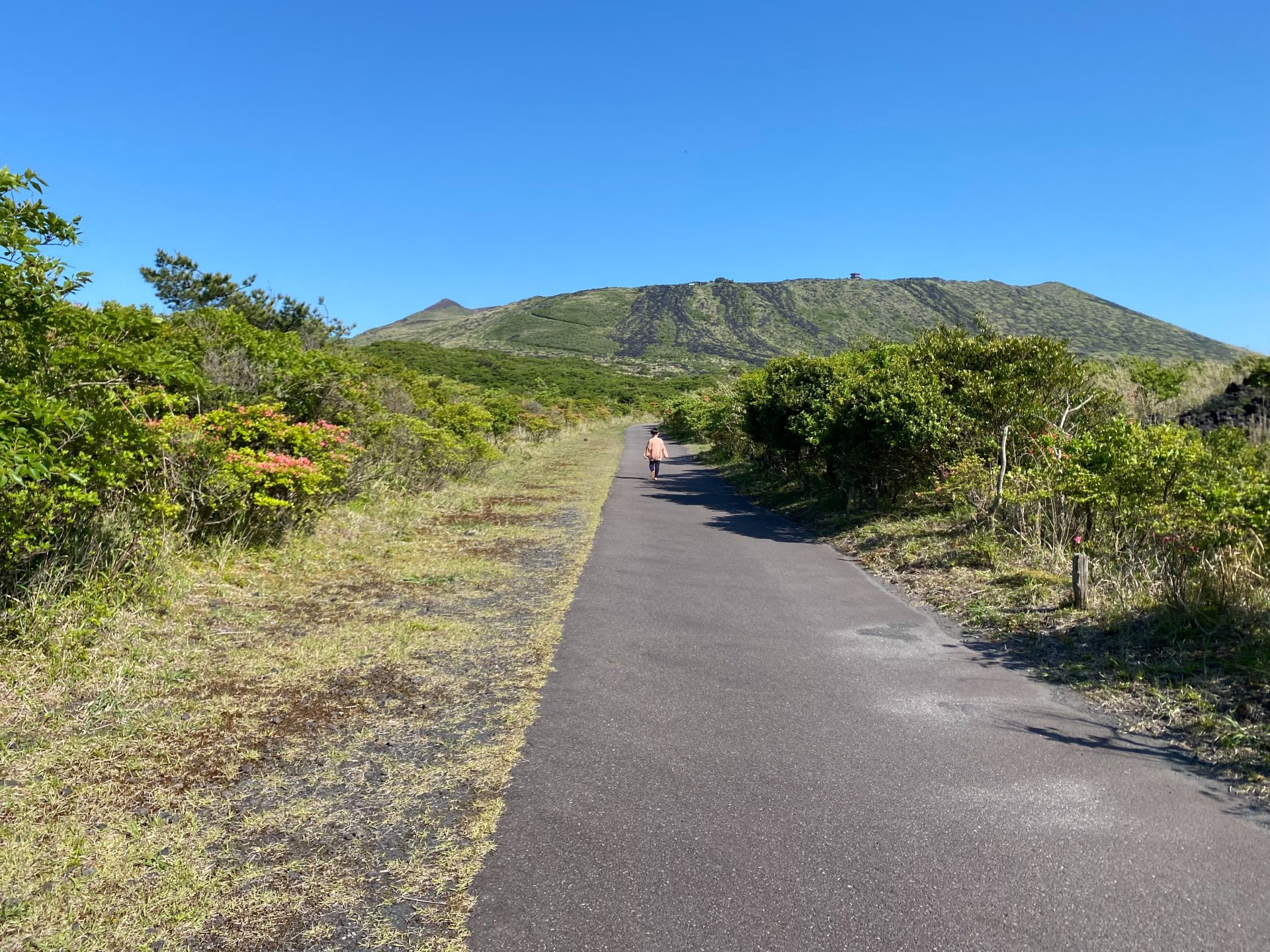 伊豆大島