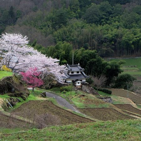 移住で家がもらえる？